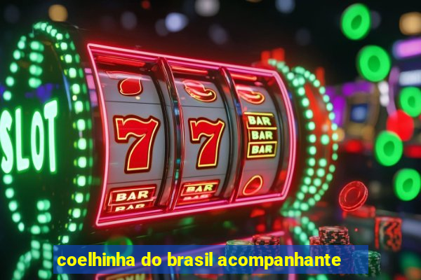 coelhinha do brasil acompanhante